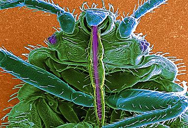 粉丝自制虚幻《星球大战：黑暗力量2》提供下载